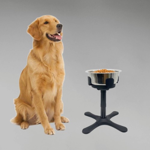 Tilting raised dog - tilting,