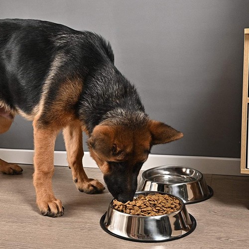 Dog feeding bowl non - feeding,