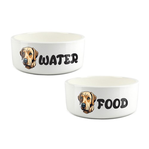 Labrador food water - labrador,