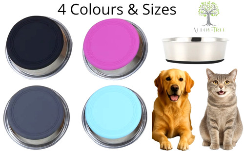 Dog bowl pet - pet, puppy