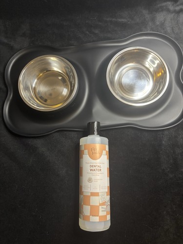 Dog feeding set - 2, stainless