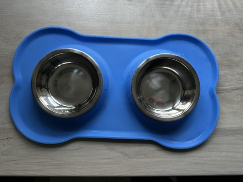 Puppy feeding bowls stainless - feeding,