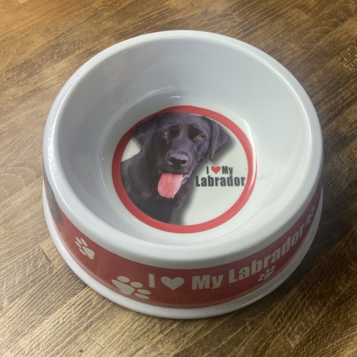 Love labrador dog - love, my
