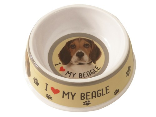 Pet dog feeding bowls - feeding,