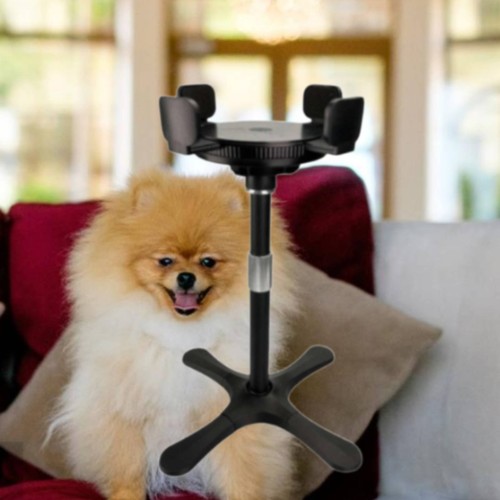 Tilting raised dog bowl stand - dog,
