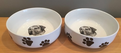 Dog bowls lab - dog, n